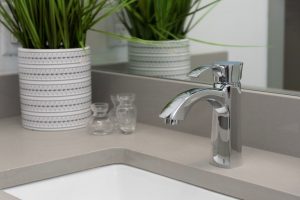 sink with decorative plant